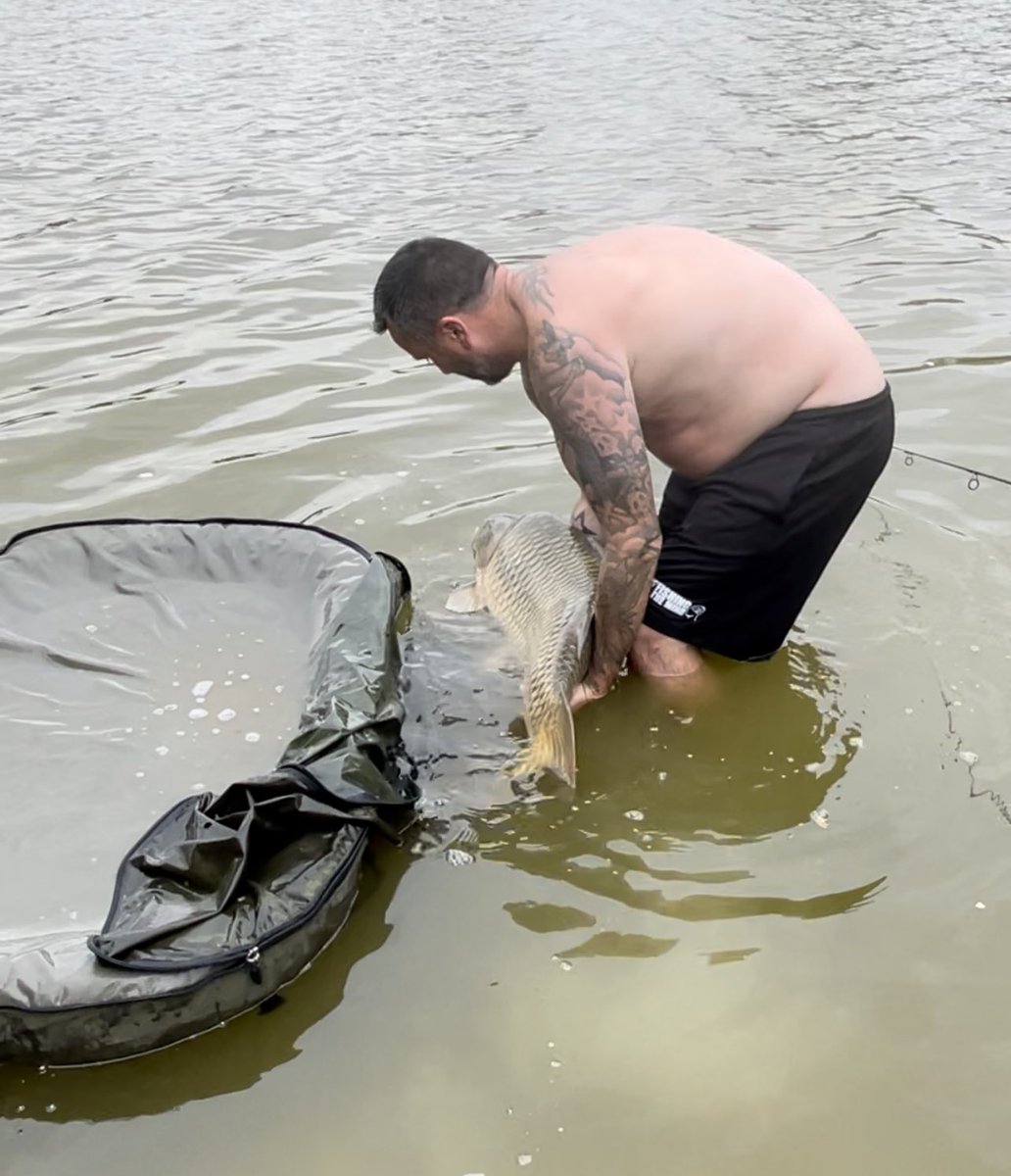 Crazy last day 31lb 8oz. Just wish I could catch one with a gut like mine 😂<a href="/CoreBaits_uk/">Core Baits</a> <a href="/matt_duce1980/">Matt Duce</a> <a href="/MozzyCarp/">Mozzy</a>