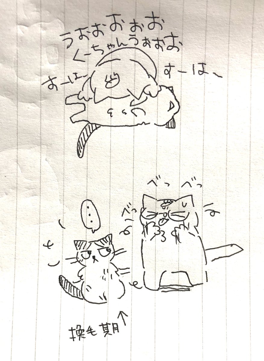昨日の私 