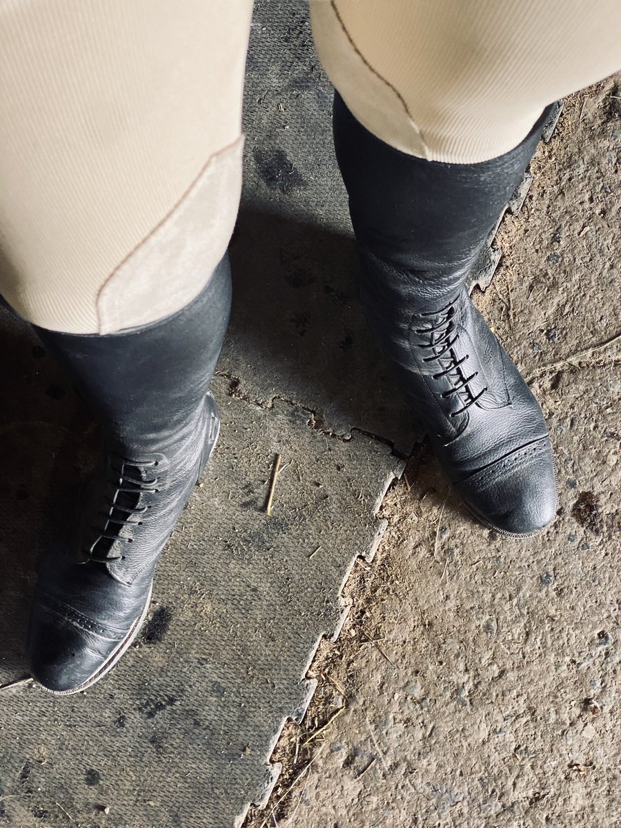 yourmasterbee's tweet photo. Got some black boot action for you losers #femdom #findom #bootfetish #ridingboots #footfetish #paypig https://t.co/hs5Kz1fJrU