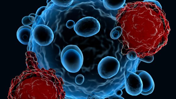 DeceraClinIns's tweet photo. Join @OmarNadeemMD on August 31 for a concise and informative 30-minute webinar covering abstracts from the #IMS22 meeting on advances in chimeric antigen receptor T (CAR-T) cell therapy. Register Now! https://t.co/UPIt8Ez3yU #hematology #oncology https://t.co/a2CWmD0oz8