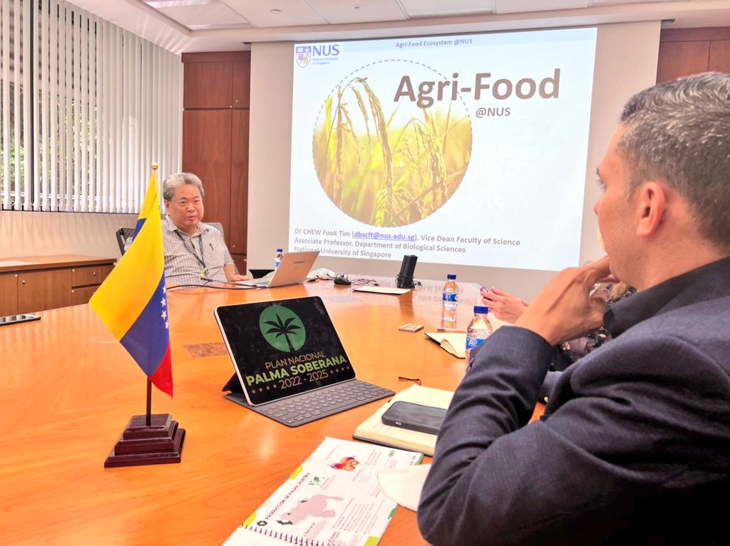 RomeroFelixE's tweet image. #26Ago| Iniciamos nuestra reunión en la National University of Singapore🇸🇬, recibiendo excelentes noticias para la juventud venezolana 🇻🇪 y debatiendo el desarrollo de un programa de reproducción a largo plazo para mejorar la calidad de las semillas de Aceite de Palma.🌴