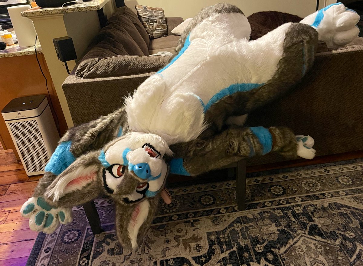 RhysCorgi's tweet photo. HEADLINE: Corgi Collapses

Today in a turn of events that everyone saw coming.. a fursuiter tires out.

Happy #FursuitFriday you fantastically fabulous fluffy furries! https://t.co/qfQHEmEL0i