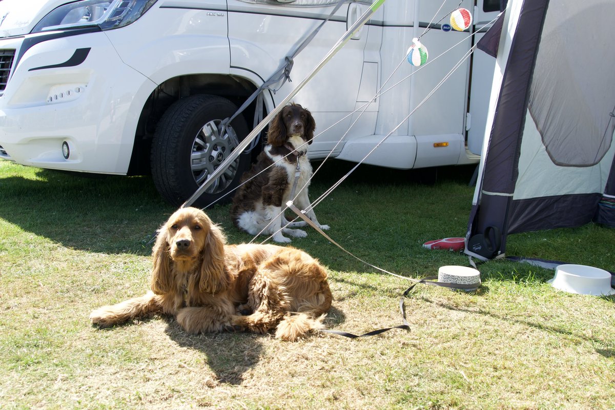 trevalgan's tweet photo. Your four-legged friend can also enjoy our #awardwinning facilities and stunning location. In celebration of #internationaldogday , we are pleased to announce that for the 2023 season we will have a new, small secure area onsite dedicated for some off-lead time 😊 https://t.co/MHxGqnDZVe