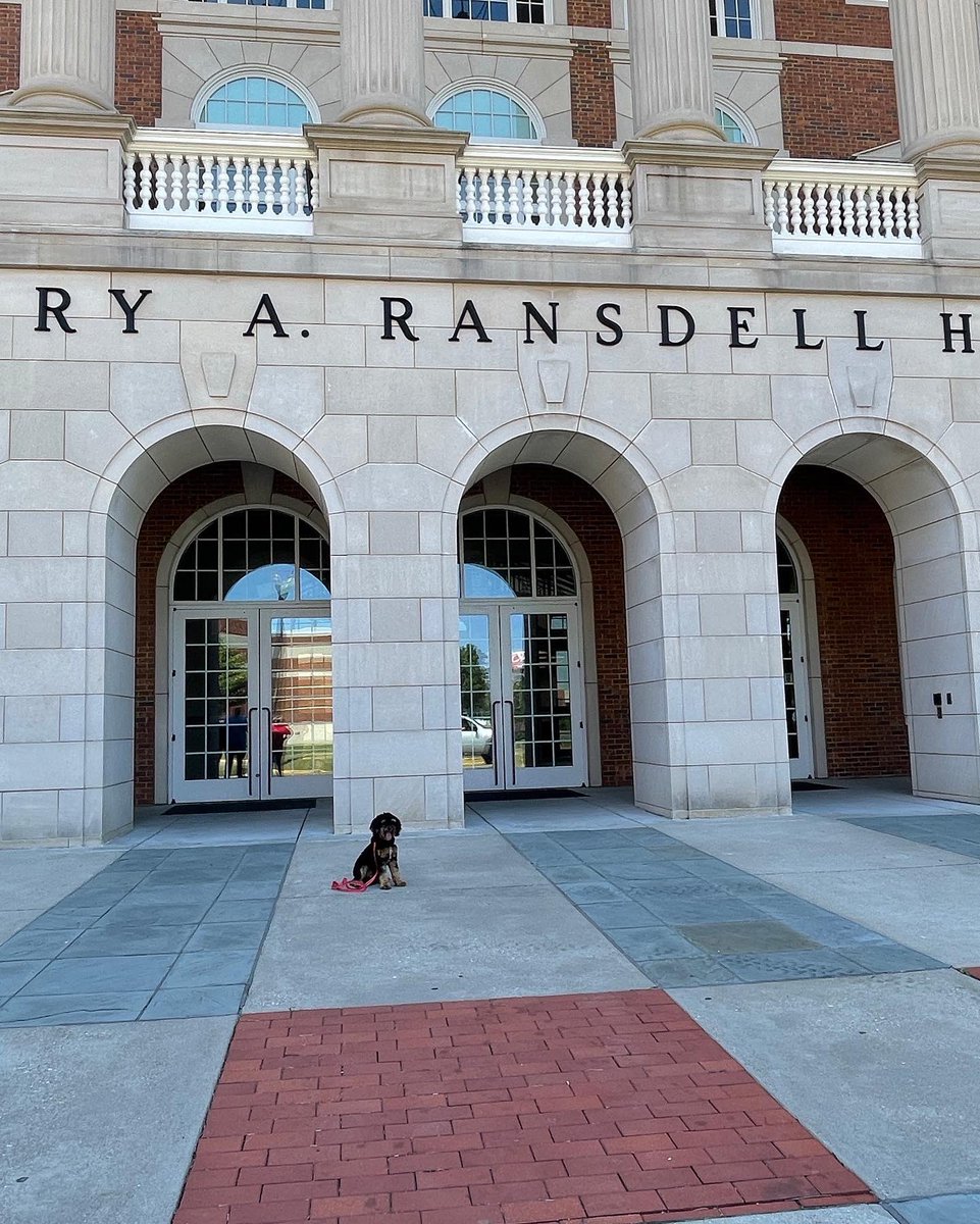 WKUCEBS's tweet photo. In honor of #InternationalDogDay, introducing… 🥁Professor Chip! Chip is a certified therapy and emotional support dog. He will be assisting in some CEBS classes, and you can meet him on Fridays in the Student Success Center on the 1st floor of GRH. #WKU https://t.co/jGdmnwpqDV