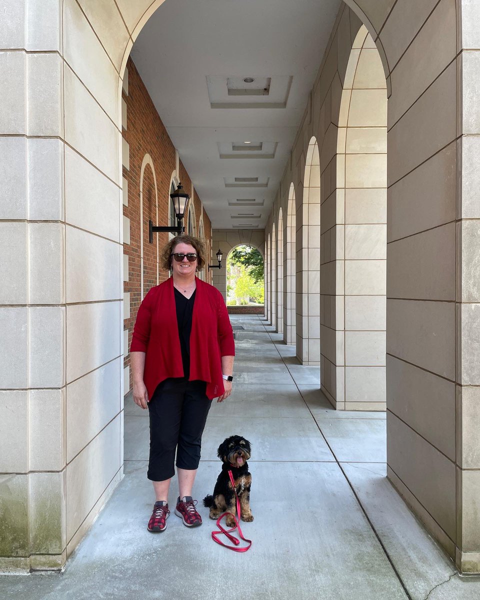 WKUCEBS's tweet photo. In honor of #InternationalDogDay, introducing… 🥁Professor Chip! Chip is a certified therapy and emotional support dog. He will be assisting in some CEBS classes, and you can meet him on Fridays in the Student Success Center on the 1st floor of GRH. #WKU https://t.co/jGdmnwpqDV