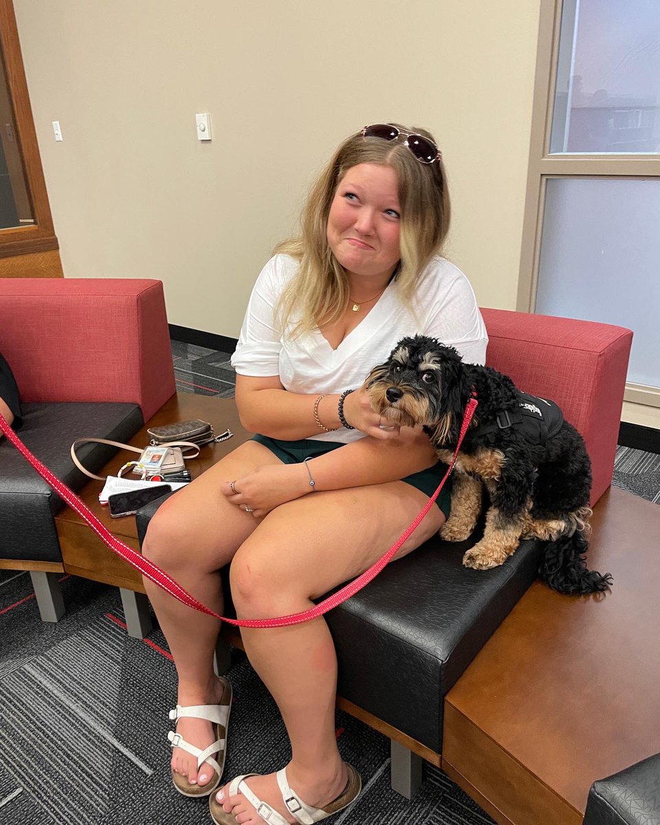 WKUCEBS's tweet photo. In honor of #InternationalDogDay, introducing… 🥁Professor Chip! Chip is a certified therapy and emotional support dog. He will be assisting in some CEBS classes, and you can meet him on Fridays in the Student Success Center on the 1st floor of GRH. #WKU https://t.co/jGdmnwpqDV
