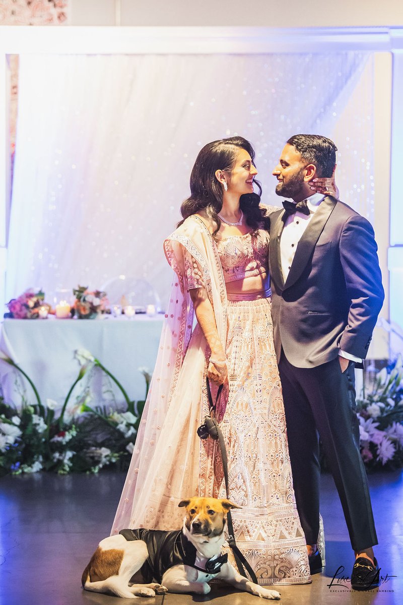 “Everyone thinks they have the best dog. And none of them are wrong.”

Happy National Dog Day to all of our four-legged friends! 🐾❤️

Photos by LUXE &amp; ART exclusively Michael Bambino