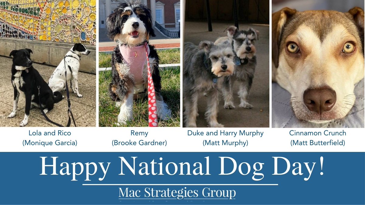 Celebrating one of our favorite hashtag holidays by showcasing the furry four-legged best friends of our Mac Strategies Group team members!  

Meet Lola and Rico (<a href="/moniquegarcia/">Monique Garcia</a>), Remy (Brooke Gardner), Duke and Harry (<a href="/MMurphy_IL/">Matt Murphy</a>) and Cinny (<a href="/mattbutterfield/">Matt Butterfield</a>).  #NationalDogDay!