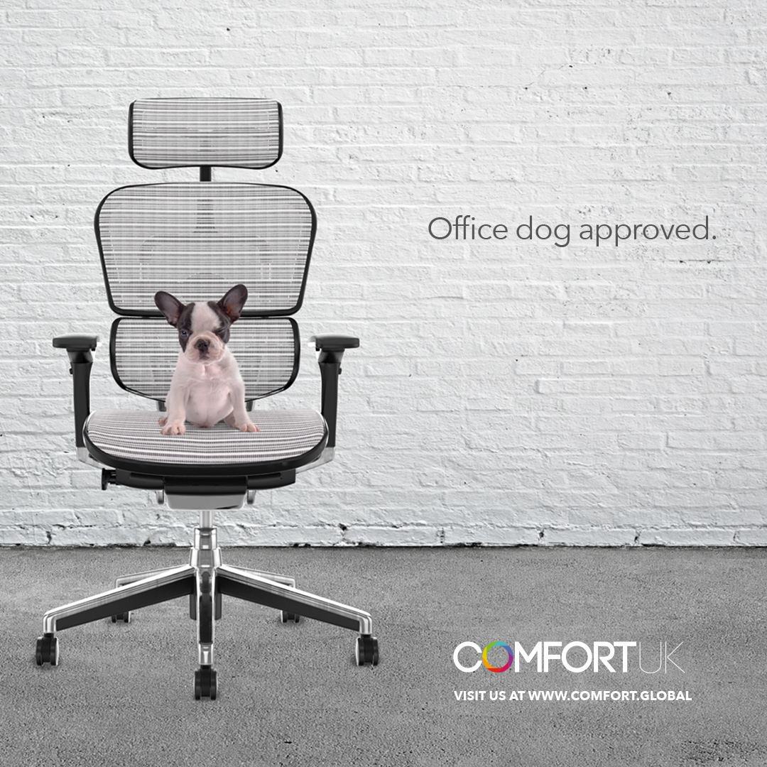 Comfort Seating tweet media