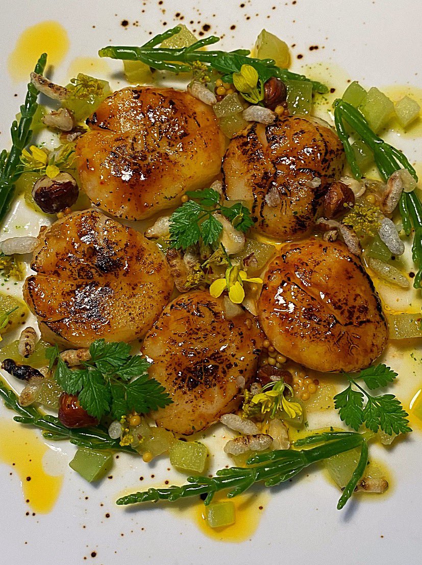 houseofplatesx's tweet photo. Miso glazed scallops, apple &amp; cucumber, elderflower vinegar, pickled hazelnut, samphire, puffed rice. #castlebar #mayofood #houseofplatesx https://t.co/CMXfpEntbv
