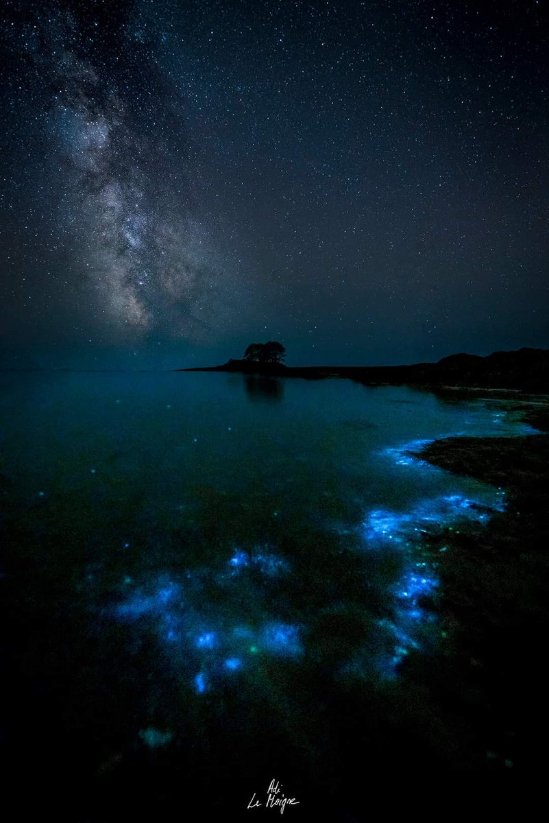 Adilemoigne's tweet image. Il y a un an jour pour jour, je rencontrais du plancton bioluminescent en rade de Brest.
Logonna-Daoulas, La Pointe du Château.