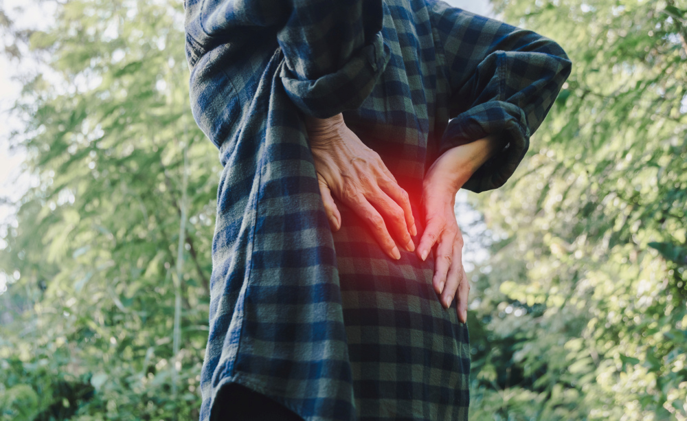 BMC_series's tweet image. Study published in #BMCMusculoSkeletDisord using #microsimulation reports that strategies including weight management, ergonomic interventions in the workplace and exercise programs are crucial in reducing the burden of low back pain. @jesdaile bit.ly/3clvyzM