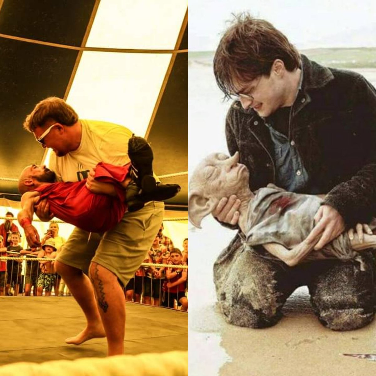 Flynn Daddy tweet media