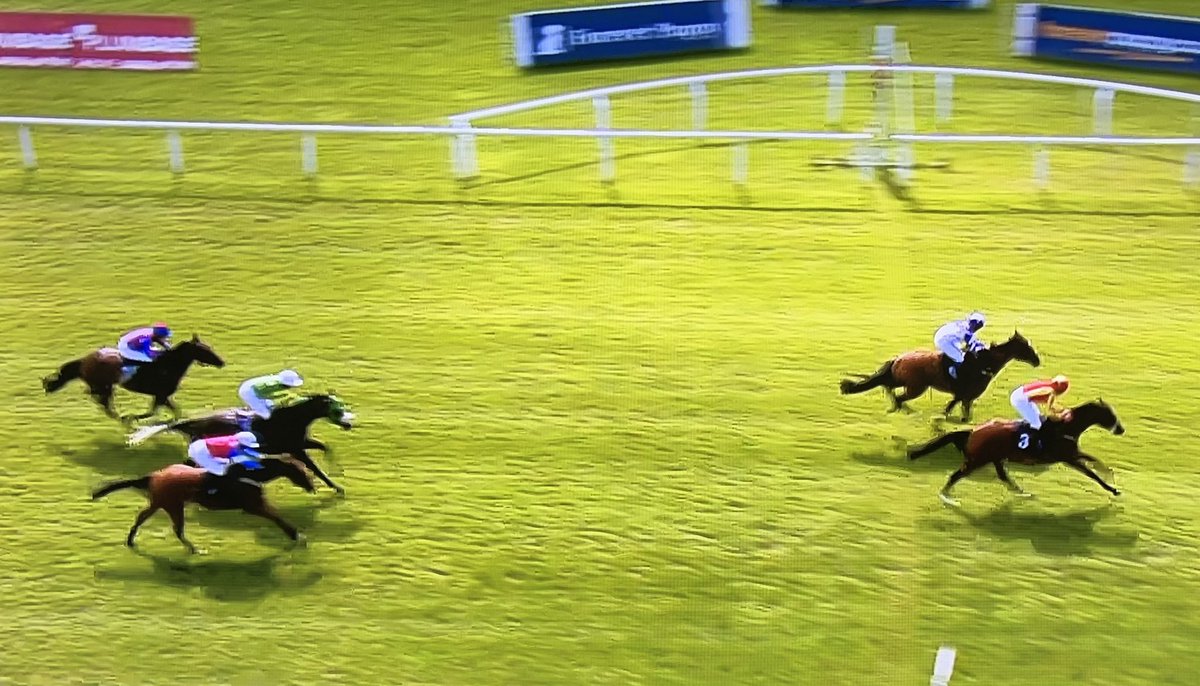 amajox's tweet photo. Congratulations @amajox #JoSupple WINS #FirstFlatWinner!! on #LadiesDay @FfosLasRC aboard the game #SingingTheBlues #foughtback @rodmillmanracin @patmillman #11ran #daytoremember #topride #topjock 👌👏👏👏 https://t.co/r45YMr9Fwy