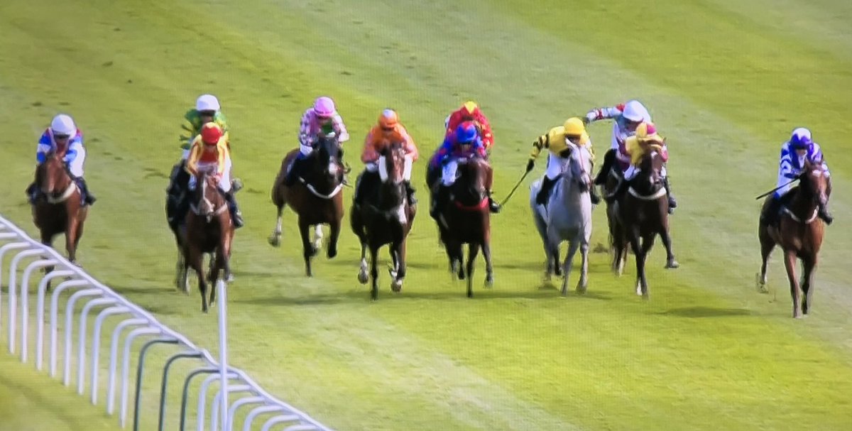 amajox's tweet photo. Congratulations @amajox #JoSupple WINS #FirstFlatWinner!! on #LadiesDay @FfosLasRC aboard the game #SingingTheBlues #foughtback @rodmillmanracin @patmillman #11ran #daytoremember #topride #topjock 👌👏👏👏 https://t.co/r45YMr9Fwy
