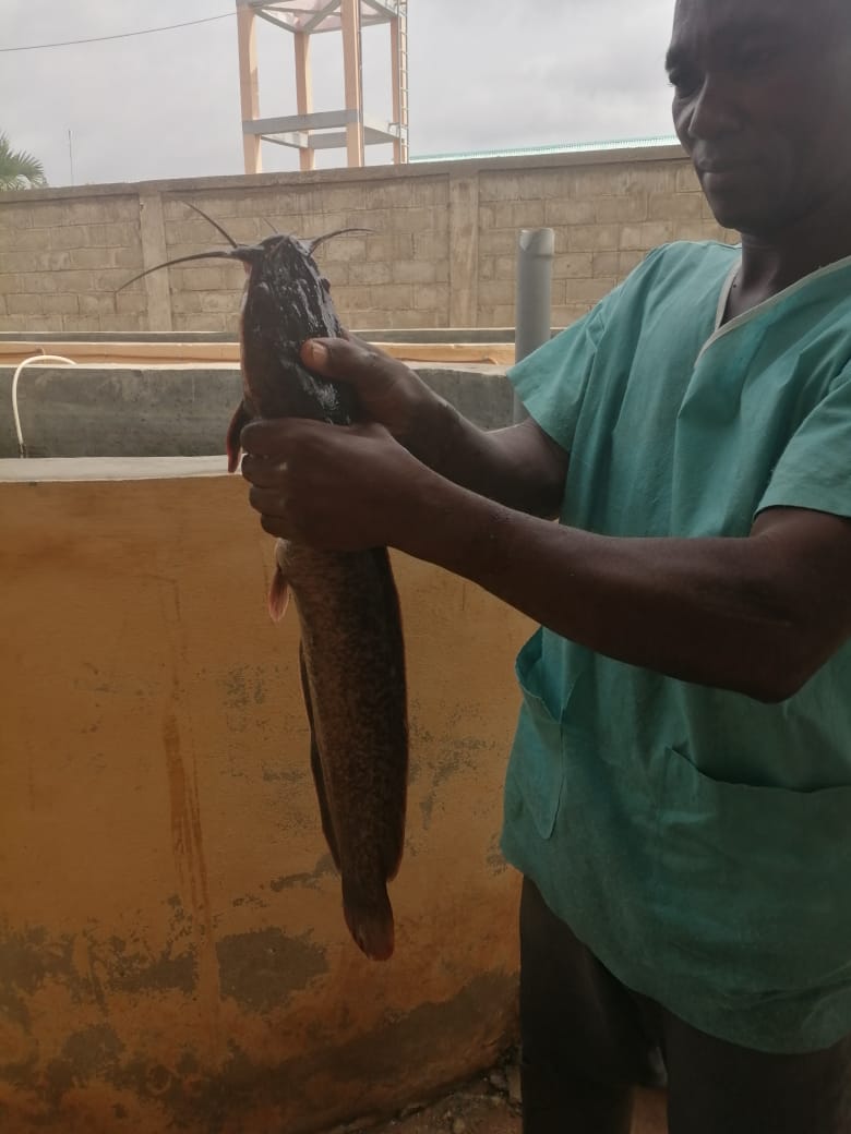 MenniBenito's tweet photo. 🇹🇬 Finalizó el proyecto “Mejora de la atención nutricional de niños y niñas con desnutrición en el Hospital Infantil Yendubé a través de la acuicultura” llevado a cabo en #Togo por la #FBM con el financiamiento del #AyuntamientoValladolid 

Más info en 👉🏽 https://t.co/kN4VizvJqH https://t.co/t3b1isUbki