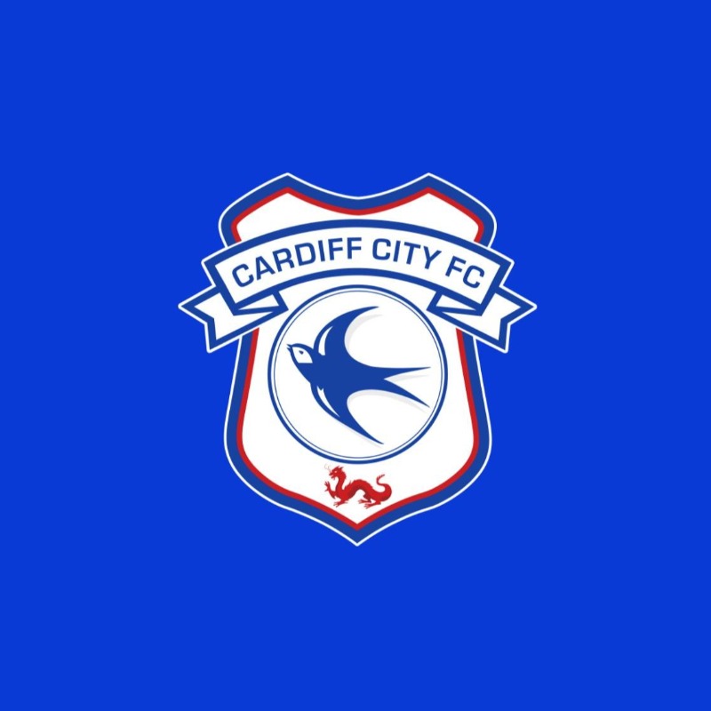 CardiffCityFC's tweet photo. Cardiff City Football Club can confirm that First Team Manager Steve Morison has been relieved of his duties.