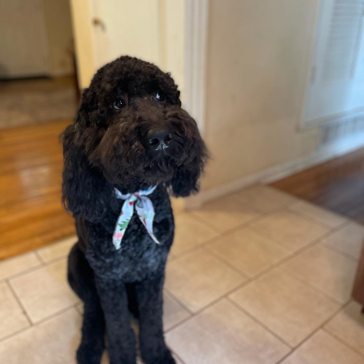 Fantom '87 tweet media