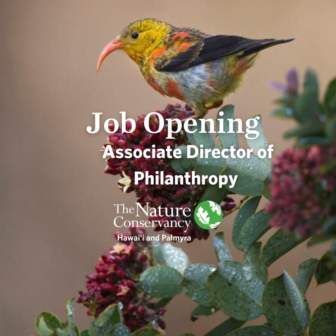 JOB OPENING:  Associate Director of Philanthropy.  Apply at nature.org/careers for Job ID # 51981.