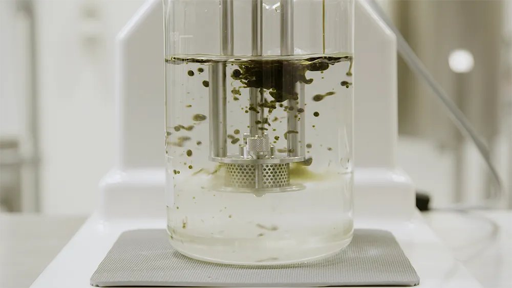 How to Make CBD Creams and Lotions with Silverson Machines

CBD oil-based products are becoming increasingly popular due to the benefits claimed to be associated with Cannabidiol, the active ingredient in CBD oil. These... 
buff.ly/3KulUY3

 #cbdcreams #silversonmachines