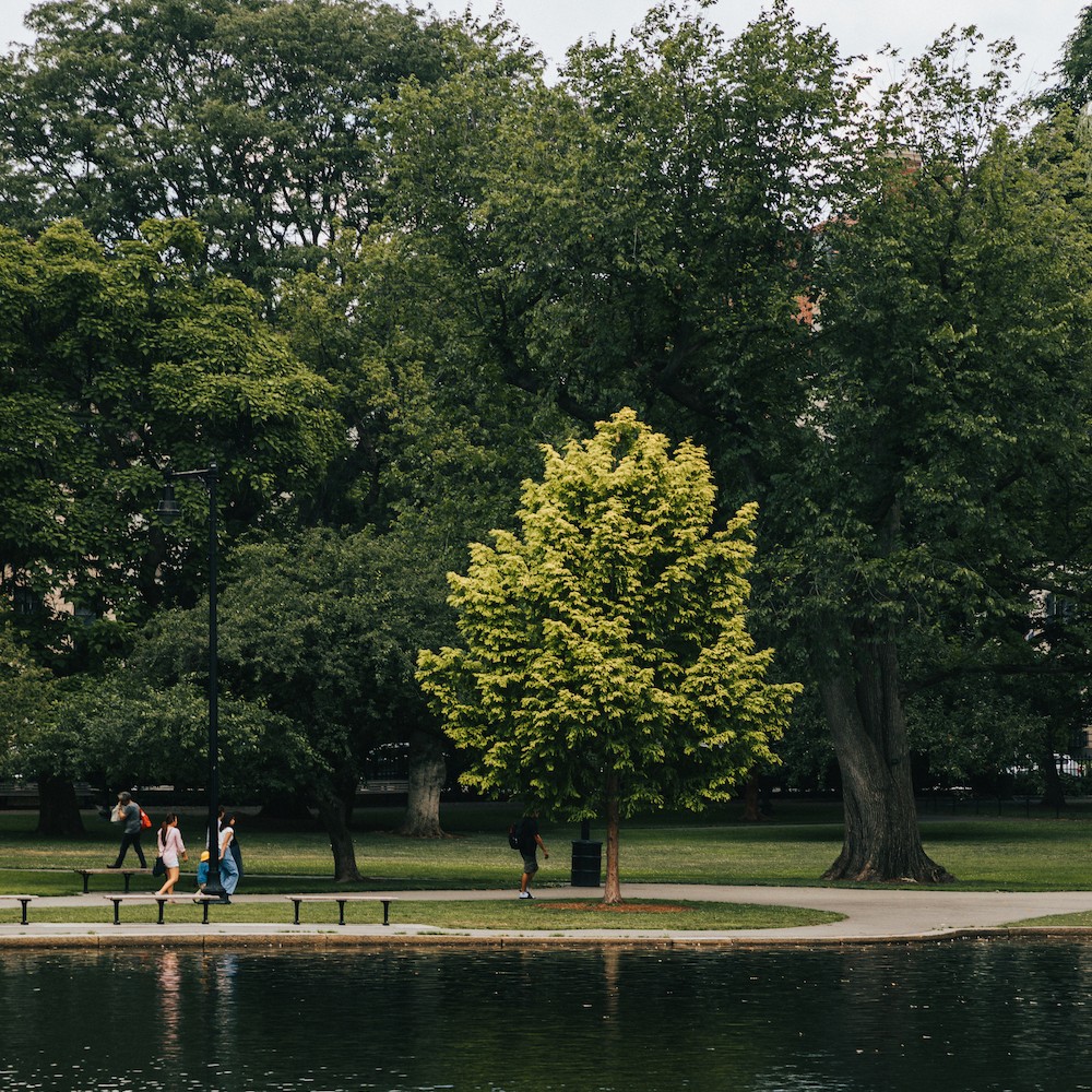 City of Boston on Twitter "As of August 22, the City of Boston is