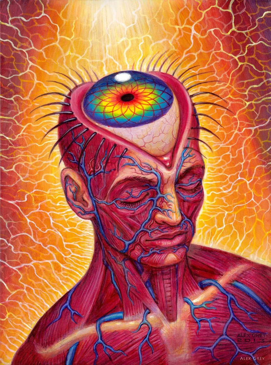 alexgreycosm's tweet photo. Through an aperture of higher vision, we see the blessings of our lives and the world. 

Aperture, 2013 https://t.co/eJ3dXkZR4c