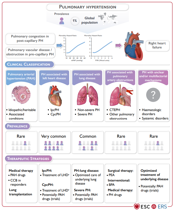 cardioteca's tweet photo. 🚨🆕🔝 4 nuevas Guías ESC 2022! #ESCCongress

🧬 Cardio-oncología
https://t.co/CSSpjpUxNn

💔 Arritmias ventriculares y muerte súbita cardiaca
https://t.co/L6EjeZNeeE

🌬️ Hipertensión pulmonar
https://t.co/JXH7TK7ukT

🛏️ Manejo CV Cirugía no cardiaca
https://t.co/wRRBOQn0So https://t.co/ohRTC8Td6M