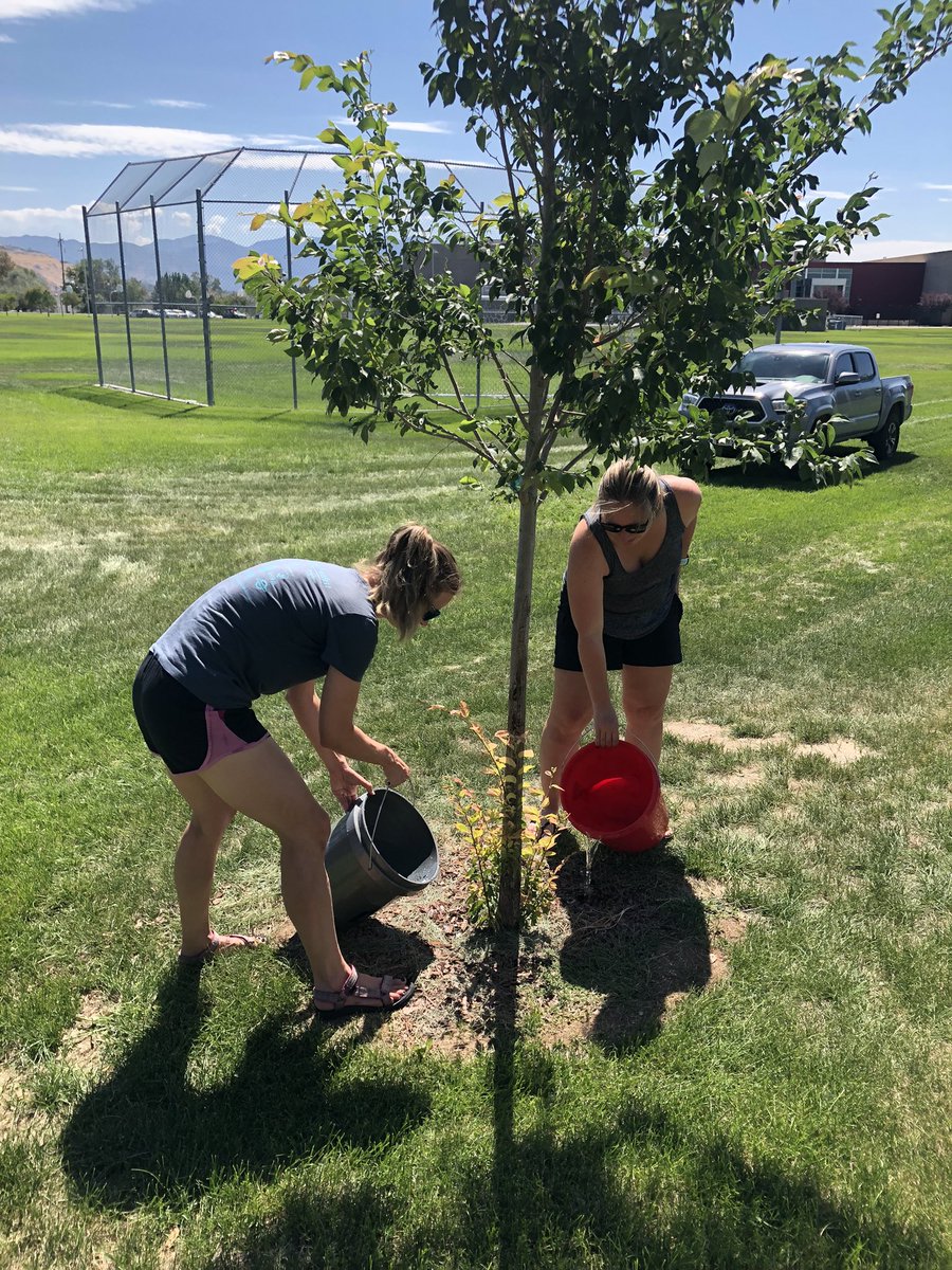 What did you do this summer? Dani Bainsmith and Becky de Freitas hand watered 30 new trees each week at Northwest Middle School! You rock! #celebrateslcsd