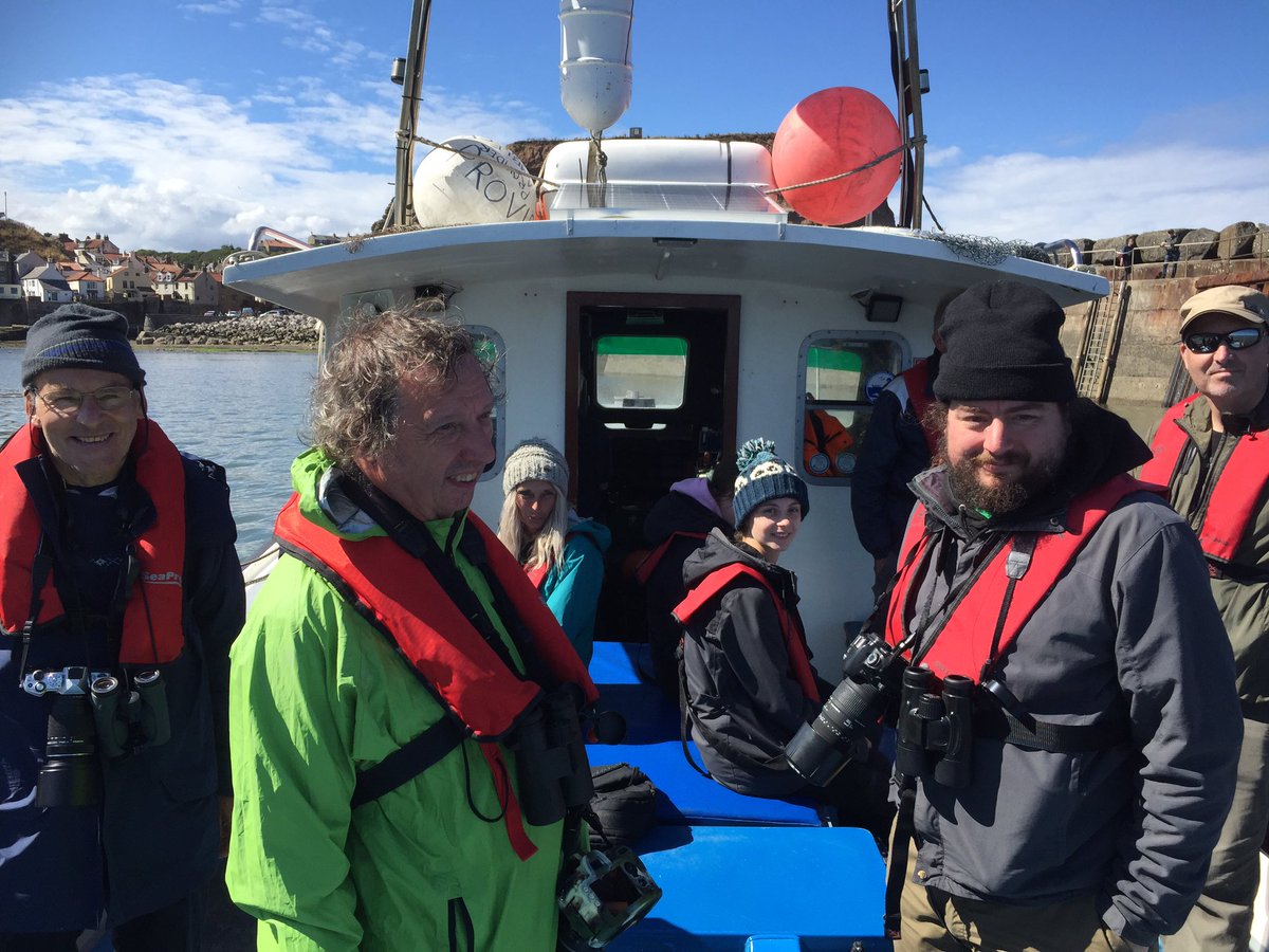 Mboyd7Boyd's tweet photo. More happy whale watchers today with at least 15 whales sighted, along with group of 20 grey seals, sooty and Manx Shearwaters, RTdiver, Cscoter, S tern @YCNature @realstaithes @johnnymacbirder @SeaWatchersUK @YWT_North @YWTLivingSeas https://t.co/4WOGcn4rod