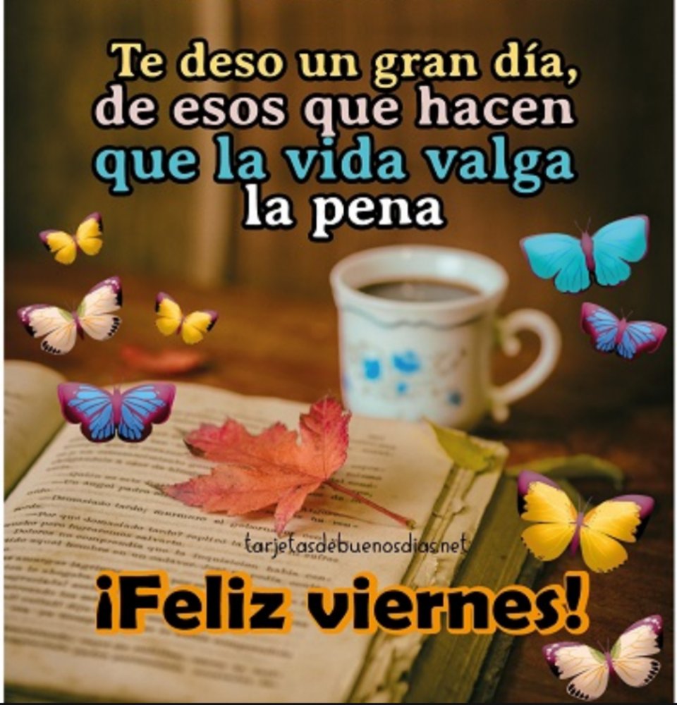 @Denisdemian6 Saludos Denis 🥰🤗