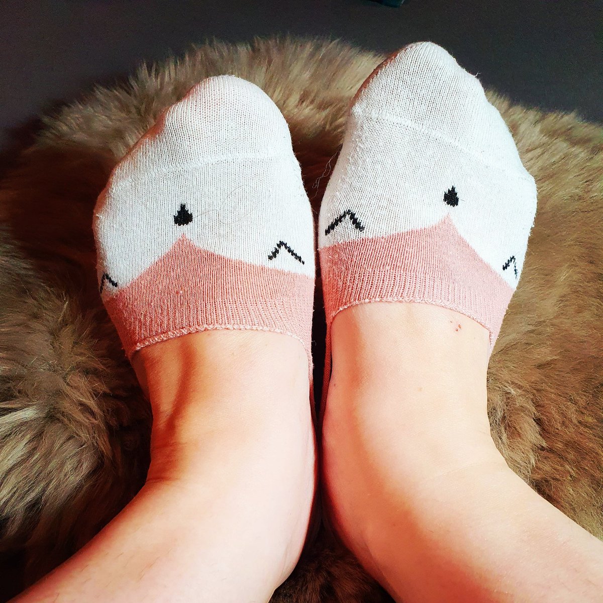 Susi_Dream's tweet photo. Welcher Looser leckt mir meine dreckigen Socken sauber. Danach kann du mit meinen Füßen weiter machen! Du Lutscher...💜🧦

#socken #getragenesocken #Wäsche #getragenewäsche #Füße #feetfethish #feet #socks #sockenmädchen #sockseller https://t.co/zxuZ5sHiTB