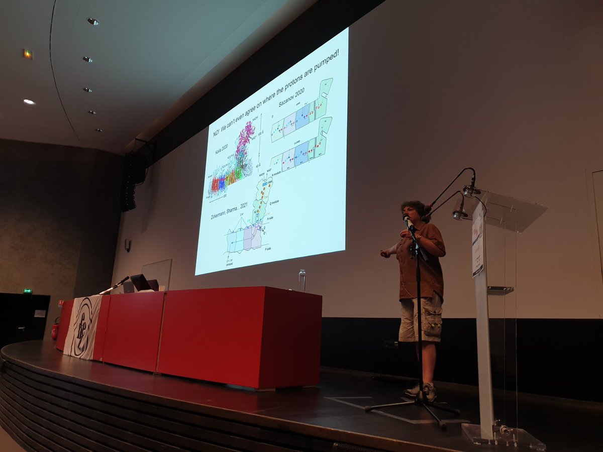 JamesBirrell86's tweet photo. I was honoured to introduce my former PhD adviser and science hero Prof. Judy Hirst FRS for the final plenary talk of #EBEC2022. A great end to a great conference! https://t.co/HR0LEzRZFA