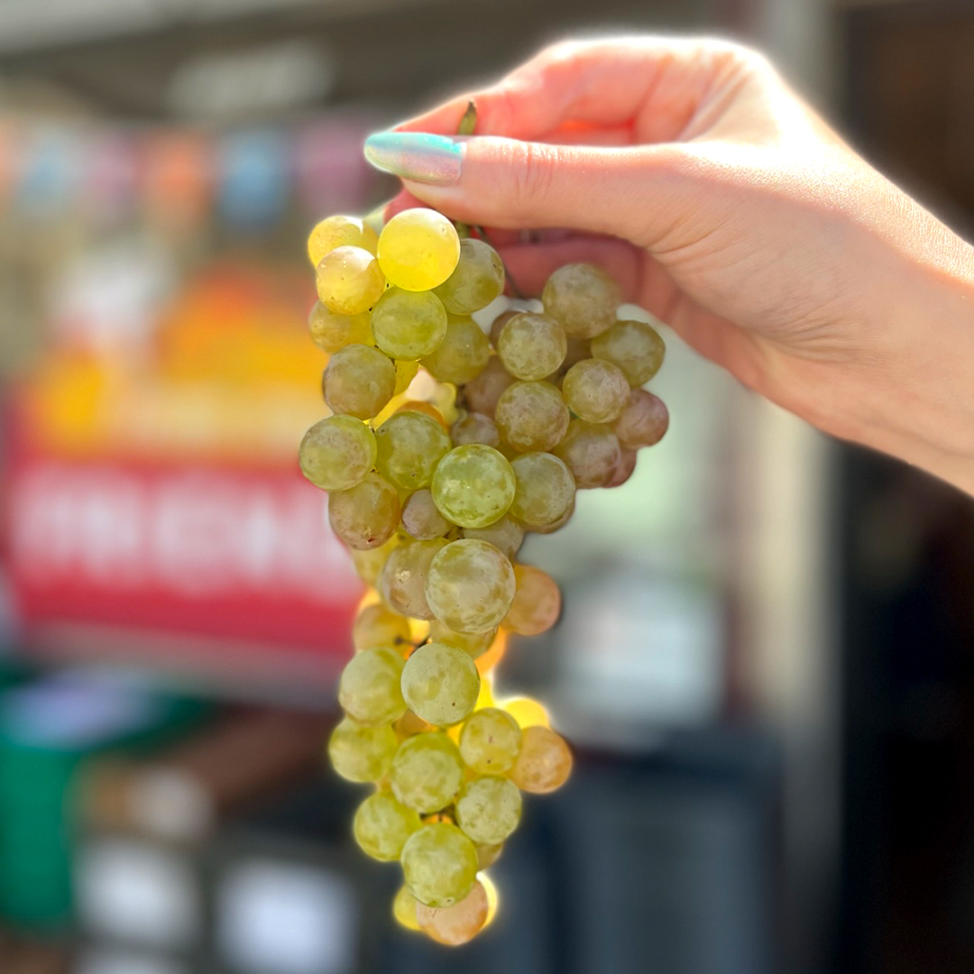 You might’ve heard through the grapevine, but Bronx grapes #FreshFromOurFriends at Lagier Ranches are officially back in the Markets! 🍇