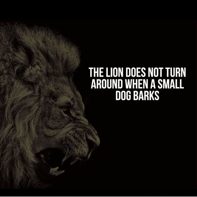 HS Football!  It's Friday Night Lights!   Play YOUR game tonight. GO COMPETE every play with an Alpha's mindset!  "When you win, say nothing. When you lose, say less." Game On!😤