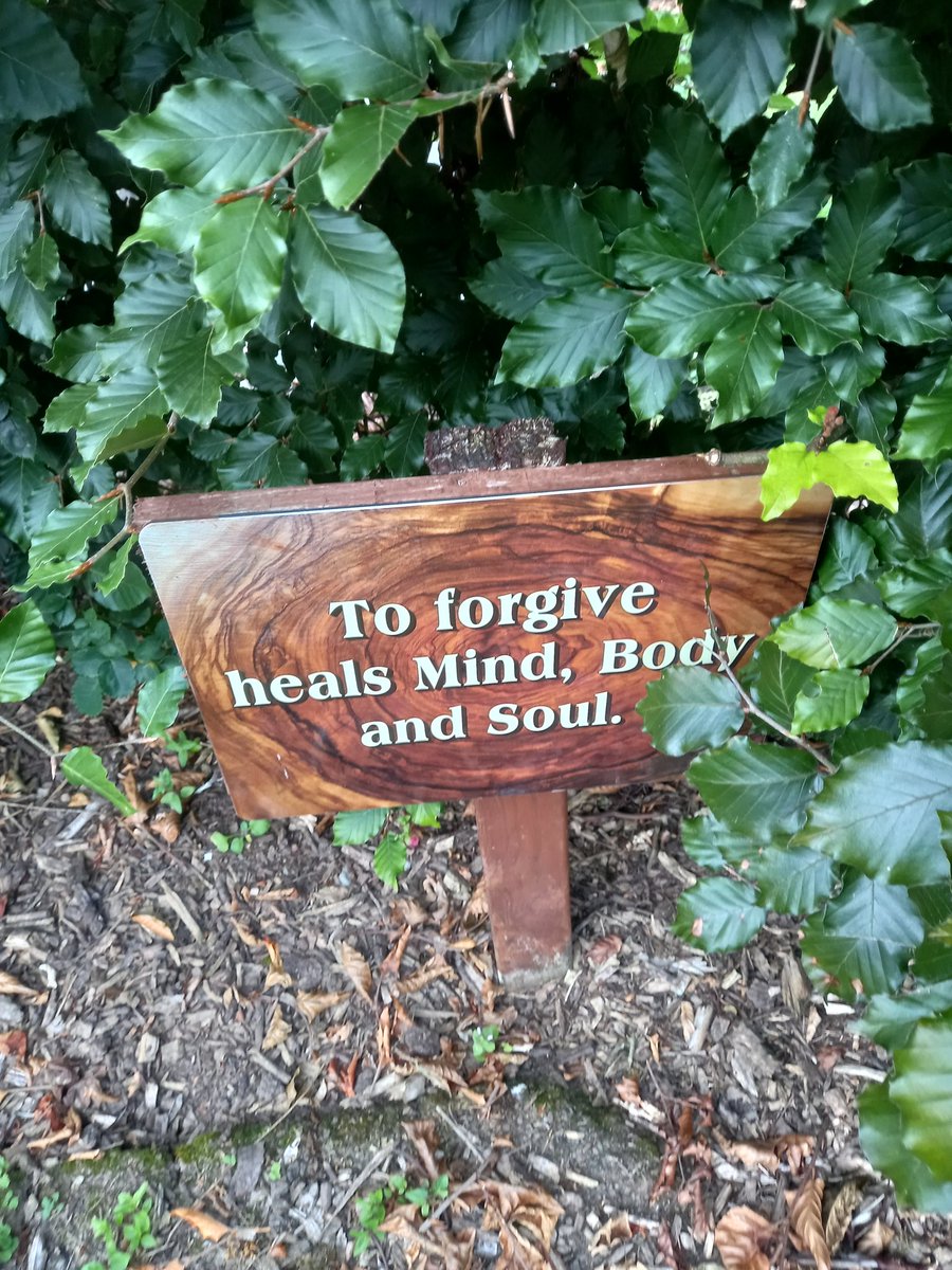 MindfulPatrick's tweet photo. Patrick Mulcahy @MindfulPatrick One of our topics to conclude our week's Retreat Forgiveness #Forgiveness #Retreat #Mindfulness #Peace  #Coach https://t.co/SLlG0K4GHj