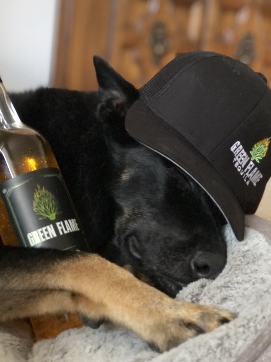 Ruff night? We’ve all been there. #NationalDogDay

#GreenFlameTequila x #FuelYourFlame