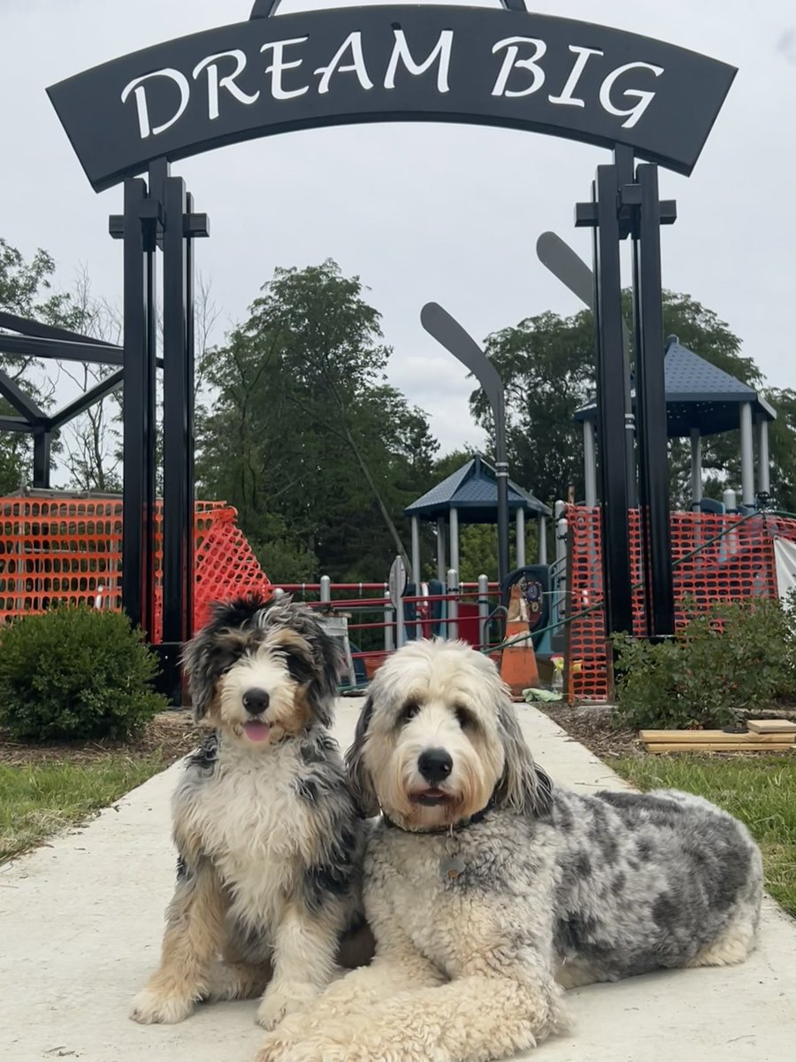 PSA: Yes! The Kendall Coyne Dream Big Park in Palos Heights is open. Blue and Penny are saying “Go Play!” The official park opening date will be announced soon 💙