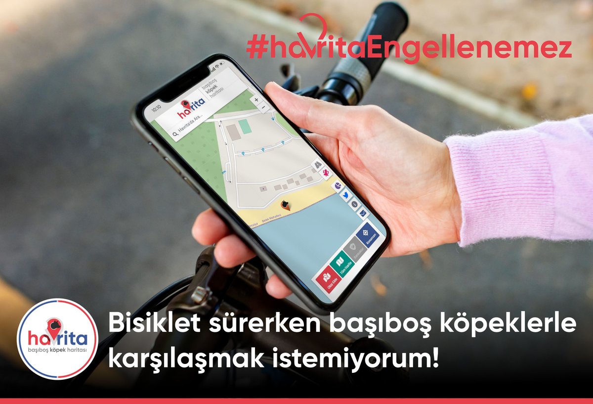 Havrita tweet media