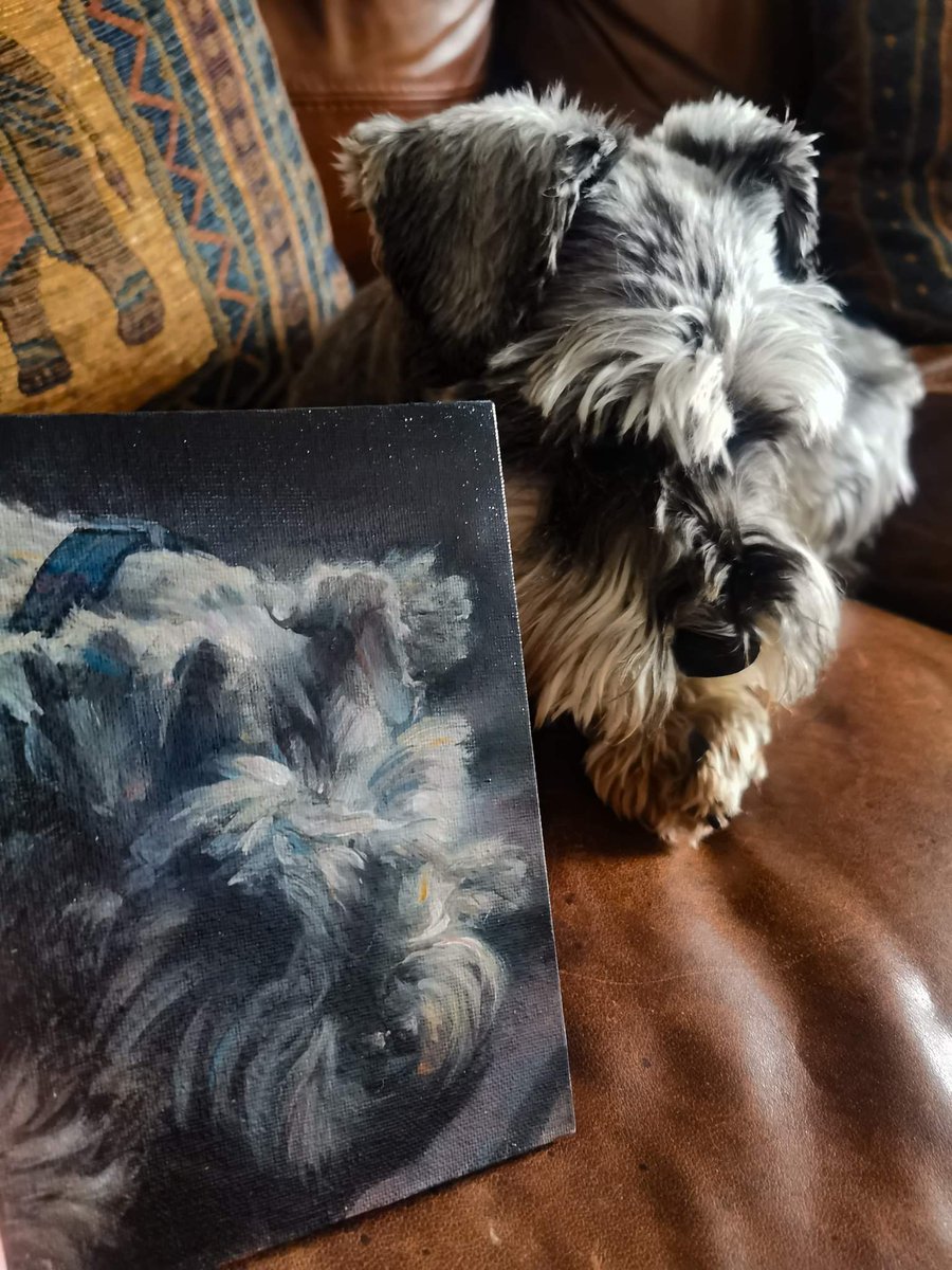 What better way is there to celebrate #NationalDogDay 🐾💗 with this recent 🎨commision of a wee #minatureschnauzer called Gus. #Artist @MButterworthart has really captured this much loved #mansbestfriend #pictureperfect #art #specialcommission #gift #ArtLovers #Aberdeenshire