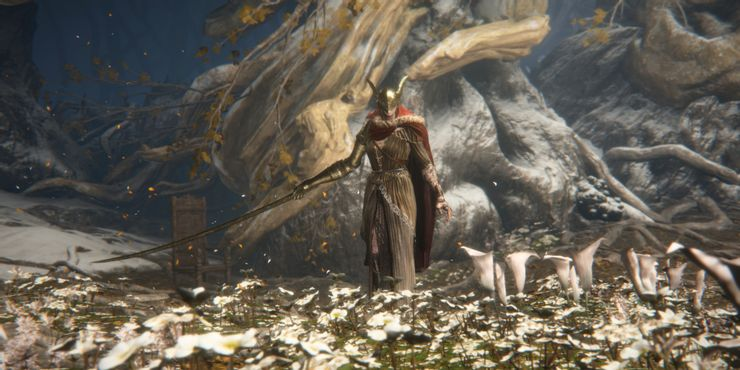 tembleking_'s tweet photo. Malenia, Blade of Miquella https://t.co/scJmO0qXJc