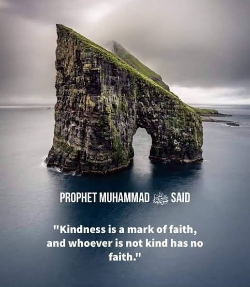 ArifChaudhury7's tweet photo. “Kindness is a mark of faith, and whoever has not kindness has not faith.”
- Prophet Muhammad
.
#OurIdolProphetMuhammad
@Akilraza22 @Devilz_77 @saadsable @md_khan_7997 @ShaikUmarSadiq2 https://t.co/y5Pi3YdVwJ