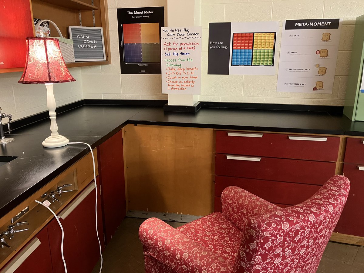 mrsvigsscience's tweet photo. Getting ready to welcome the  @FloodFalcons #BackToSchool with a cozy corner in the science classroom! #SEL @rulerapproach https://t.co/nHJz2iaaSk