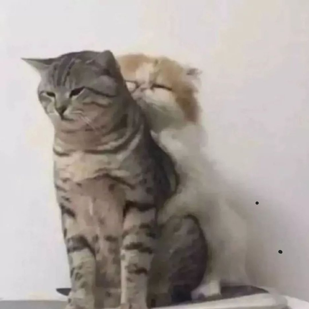 DontShowYourCat's tweet photo. heimlich maneuver https://t.co/l9Hqnjz4n4
