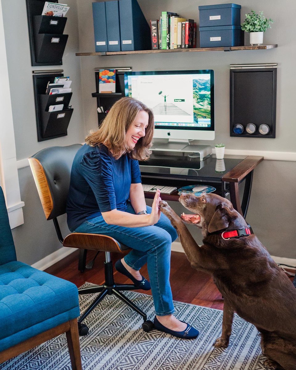 CreativUmbrella's tweet photo. “High Five” to a year in my studio! Love being on Main Street in Zionsville. How appropriate that the one year anniversary of the opening is also International Dog Day! Charlie thinks of our space as a second home. #internationaldogday https://t.co/siQKdj4jcQ