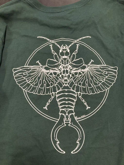 No way it's #InverteFest here's some bug art 