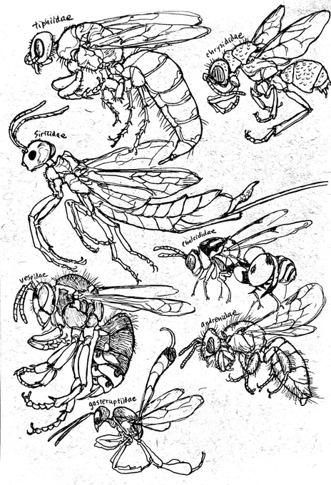 No way it's #InverteFest here's some bug art 