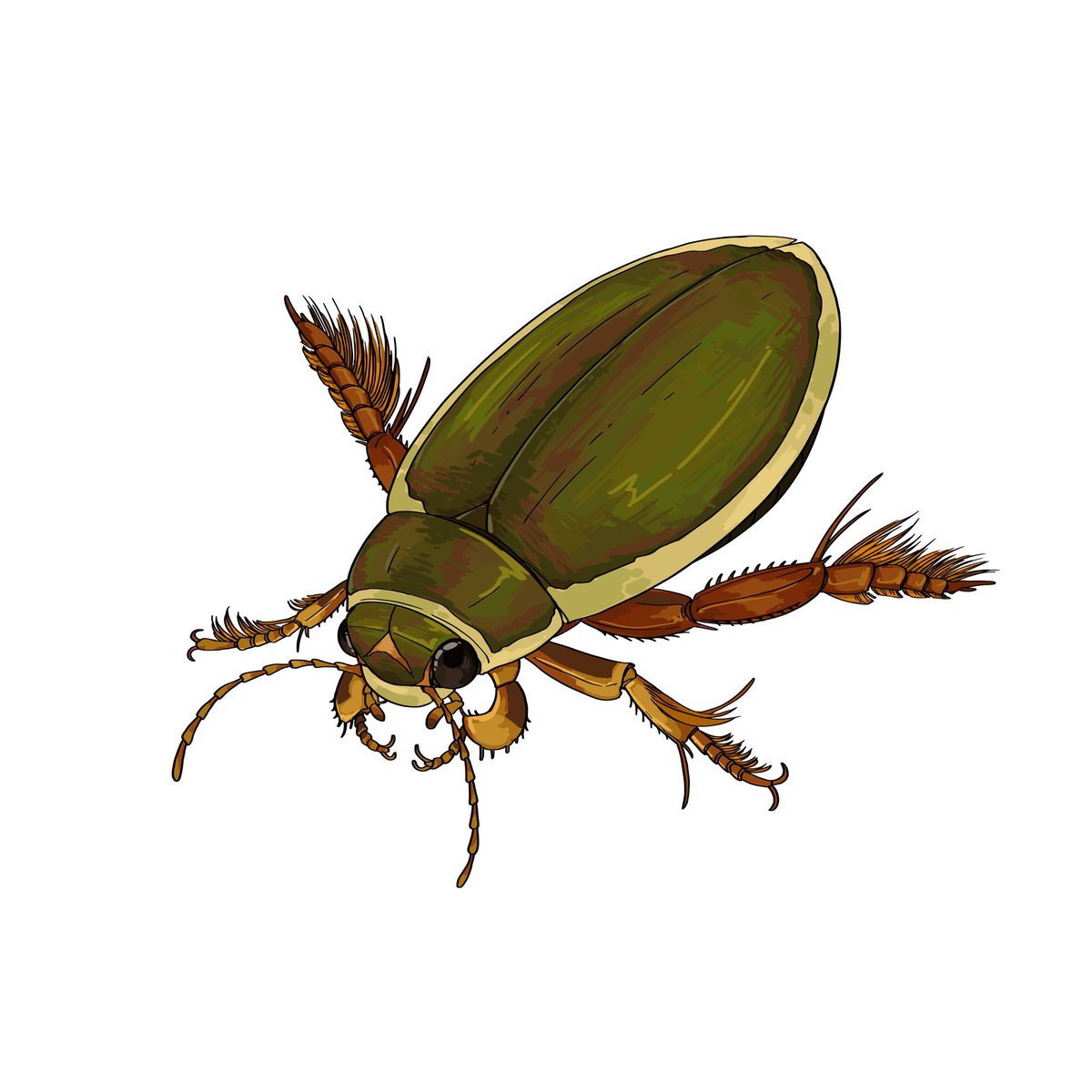 「No way it's #InverteFest here's some bug」|🐙🦑👁️one-eyed Guy enjoyer👁️ comms openのイラスト