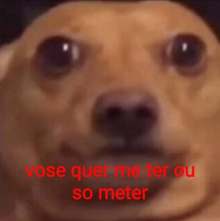 Frases aleatórias em baixa qualidade (@fraseslowqualit) on Twitter photo 