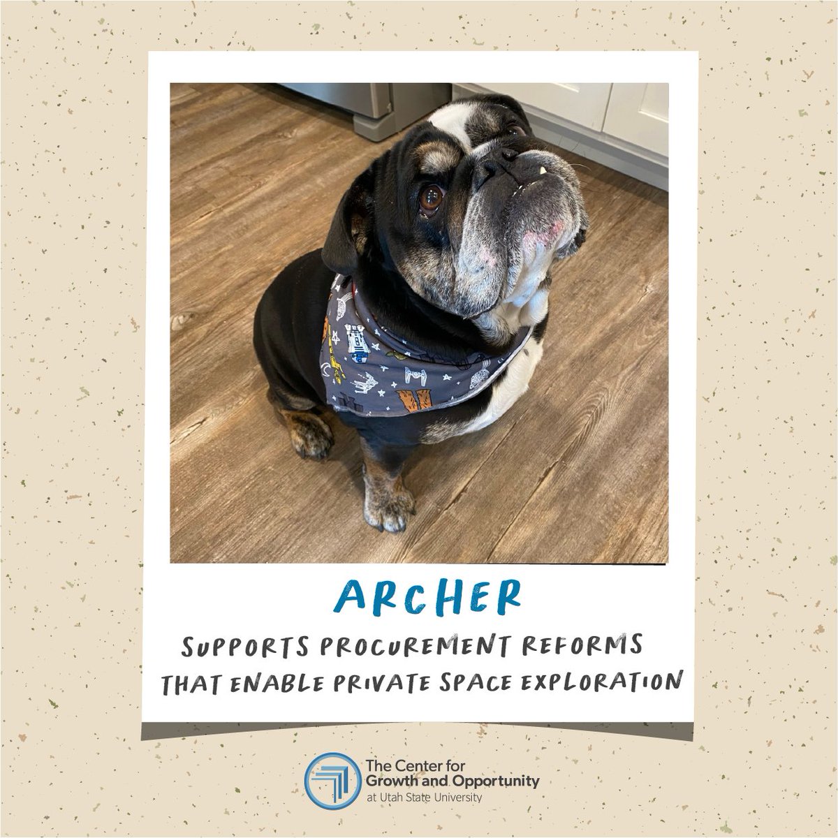 cgousu's tweet image. For #NationalDogDay our staff pets are sharing paw-sible paths to a brighter future with more sticks, dogs in space, and dog beers!