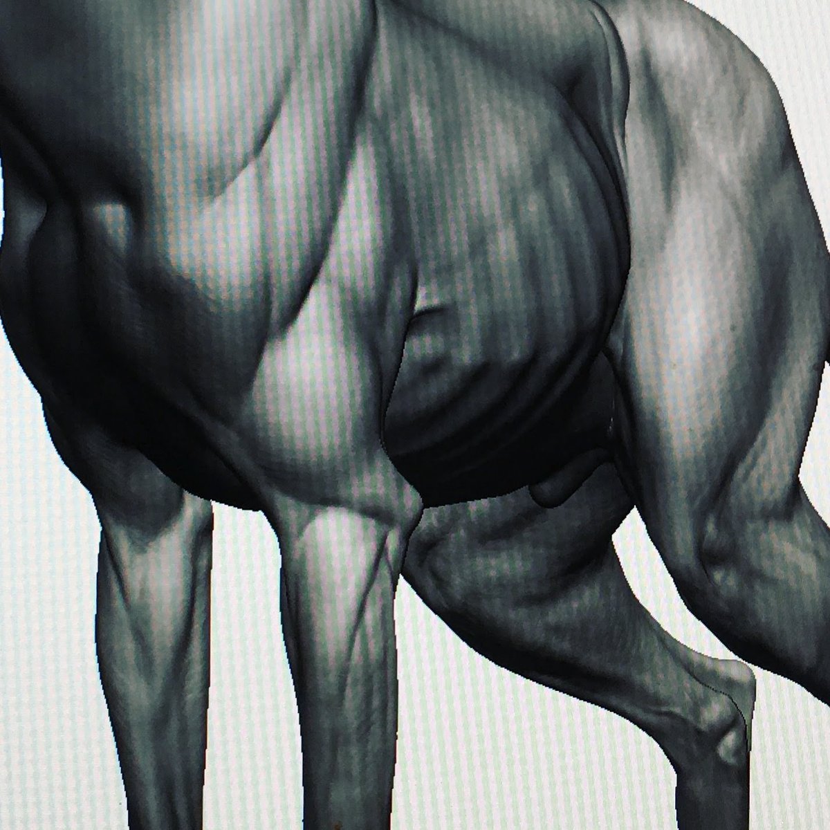 Anyone else hold their breath while sculpting subtle shapes? Super weird autopilot function for me. 😆😵‍💫

#zbrush #sculpting #DigitalArtist